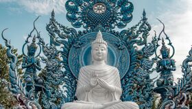 image-31